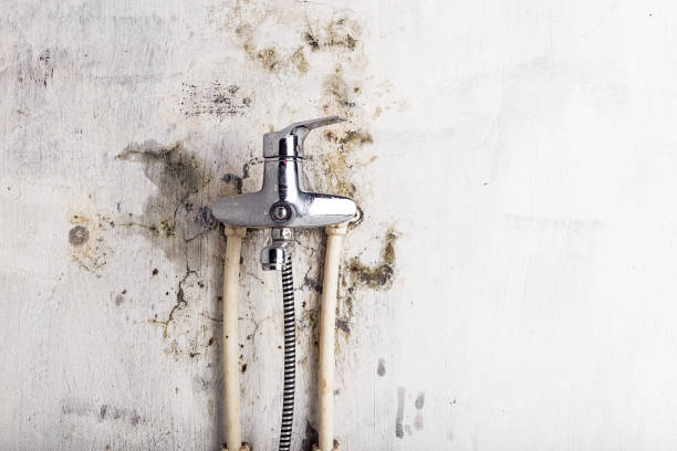 Best Mold Remediation for Schools in Bridgeport, NY