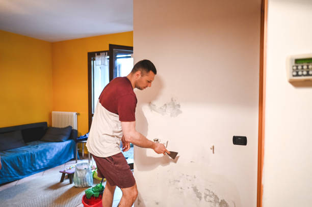 Best Mold Remediation for Specific Building Types in Bridgeport, NY